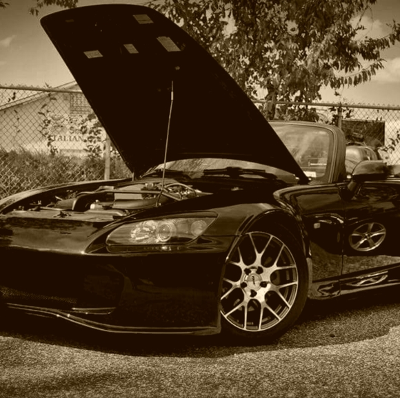 Meet your Posher, Tati - Picture 2 of 8